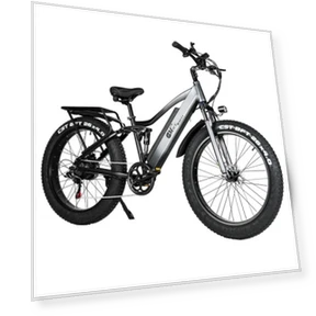 Electric Bike — Electric Self-Balancing Scooters, CMACEWHEEL