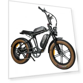 Mountain Electric Bike — E-Bikes, PVY