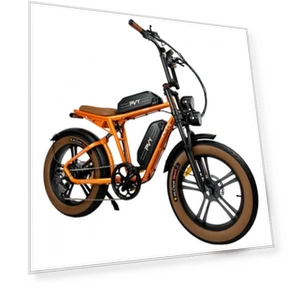 Mountain Electric Bike — E-Bikes, PVY