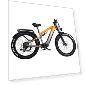 Electric Bike — Electric Self-Balancing Scooters, RANDRIDE