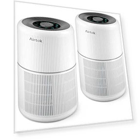 2 Pack H13 True HEPA Air Purifier for Home, Bedroom, Smoke, Dust, Odors, Pollen, Pet Dander — Electrostatic Air Purifiers, AIRTOK