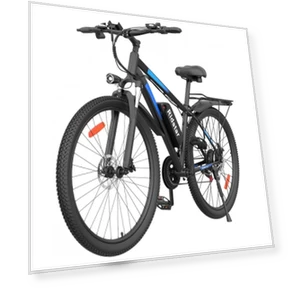 Electric Bike — E-Bikes, Ridstar