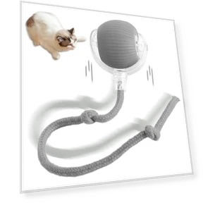 Smart Avoid Ball Toy — Balls