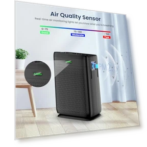 Large Room HEPA Air Purifier with PM 2.5 Display — Electrostatic Air Purifiers, AMEIFU