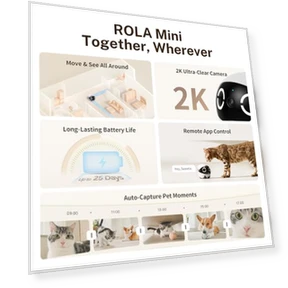 Movable Pet Camera Robot with 2K Resolution and Night Vision — Security & Surveillance Robots, Enabot