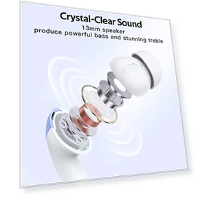 True Wireless Earbuds with LED Power Display and Wireless Charging — In-Ear Headphones, TAGRY