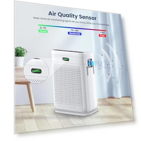 H13 HEPA Air Purifier for Large Rooms up to 2200 Sq Ft — HEPA Air Purifiers, AMEIFU