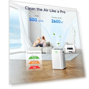 Double-Sided HEPA Air Purifier — Activated Carbon Air Purifiers, LUNINO