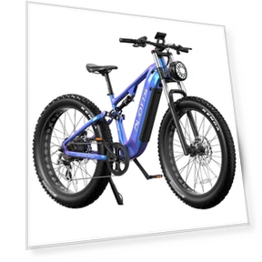 Electric Bike — Electric Self-Balancing Scooters, DUOTTS