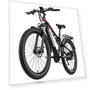 Electric Bike — Electric Self-Balancing Scooters, RANDRIDE