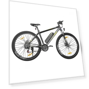 29 Inch CST Tire Electric Bike MTB Mountain Bike With App Control — Electric Self-Balancing Scooters, Eleglide