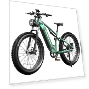 Mountain Electric Bike — Electric Self-Balancing Scooters, DUOTTS