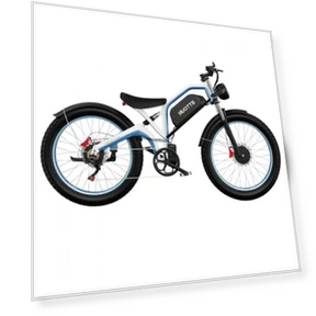 Electric Bike — Electric Self-Balancing Scooters, DUOTTS