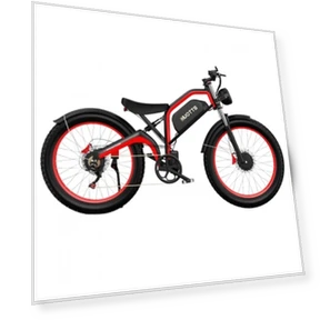 Electric Bike — Electric Self-Balancing Scooters, DUOTTS