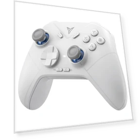 Direwolf 3 Gaming Controller — Gaming Mice, Flydigi