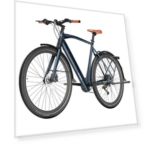 Electric Bike — Leisure Bicycles, Fafrees