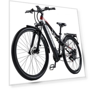 Electric Bike — E-Bikes, RANDRIDE