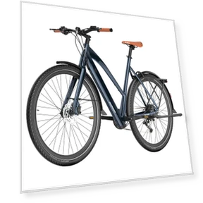 Electric Bike — Electric Self-Balancing Scooters, Fafrees