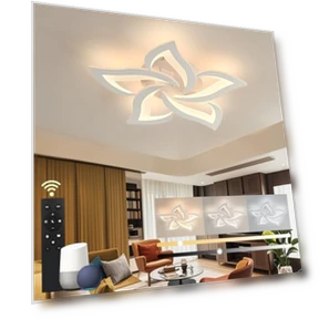 Smart Ceiling Light Fixture — LED, SKY ANGLE