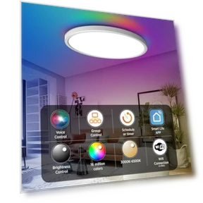 Smart Ceiling Light Flush Mount LED WiFi — Overhead Lighting, TALOYA