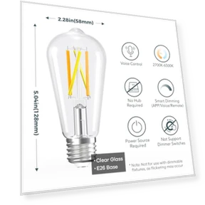 Smart Edison Bulbs — LED, Linkind
