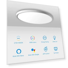 Smart LED Ceiling Light Flush Mount — LED, MELEGAN