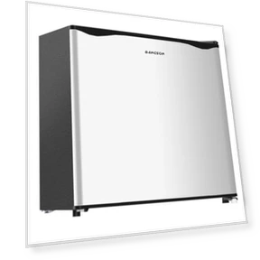 Small Refrigerator with Freezer — Mini Fridges, BANGSON