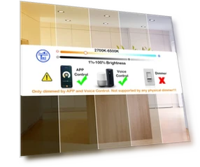 Smart WiFi LED Recessed Lights — LED, CLOUDY BAY