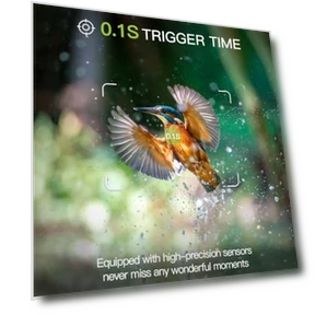 Trail Camera 2 Pack — Outdoor Security Cameras, Punvoe