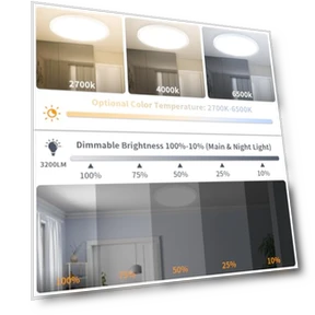Flush Mount Ceiling Light Fixtures with Remote Control & Night Lights — Close To Ceiling, Highxin