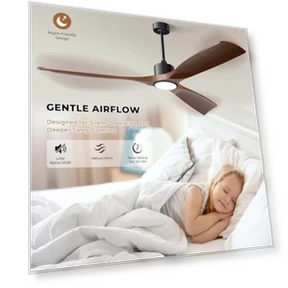 Smart Ceiling Fan with Light — Ceiling Fan Wall Controls, BOOSANT