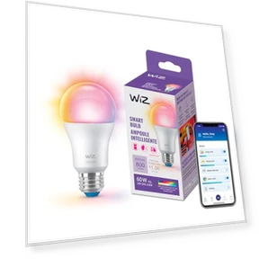 60W A19 LED Smart Light Bulb — LED, WiZ Connected