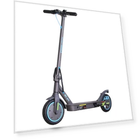 Electric Scooter — Electric Self-Balancing Scooters, Honey Whale