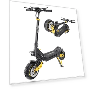 Electric Scooter — Electric Self-Balancing Scooters, IENYRID