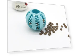 Interactive Chewing Ball for Pets — Chew Toys