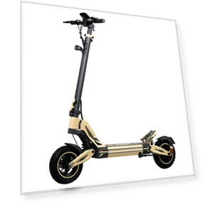 Electric Scooter — Electric Self-Balancing Scooters, Honey Whale