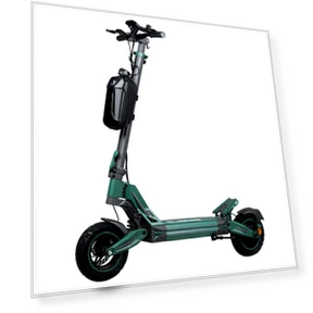 Electric Scooter — Electric Self-Balancing Scooters, Honey Whale