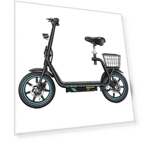 Electric Scooter — Electric Self-Balancing Scooters, Honey Whale