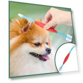 Dual Head Toothbrush for Pets — Dental Care