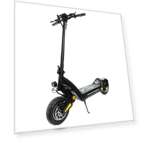 Electric Scooter — Electric Self-Balancing Scooters, Other