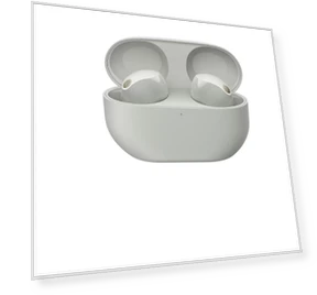 Noise-Canceling True Wireless In-Ear Headphones — In-Ear Headphones, Sony