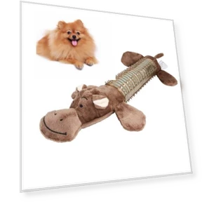 Dog Molar Tooth Cleaning Rubber Sound Small and Medium Dog Bite Toy — Chew Toys