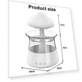 Cloud Rain Humidifier — Air Moisturizers, cjc