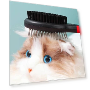 Double-sided comb with protective points — Combs