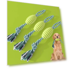 Knot Pet Bite Resistant Teeth Cleaning Toy — Chew Toys