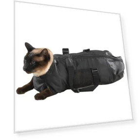 Pet Bath Kit — Bath Accessories