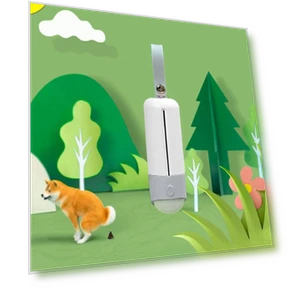 Portable Dog Toilet Bowl with LED Lighting — Travel