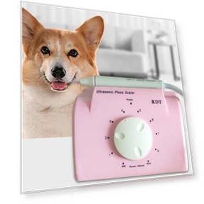 Ultrasonic Cleaning Machine for Pet Dogs — Ultrasonic Cleaners