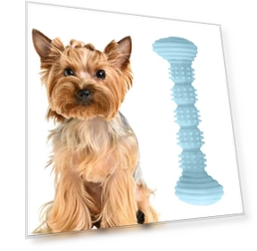 Teething Toys Chewing Gnawing Dog Toothbrush — Chew Toys