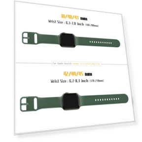 Pin Buckle Silicone Watch Band — Bands